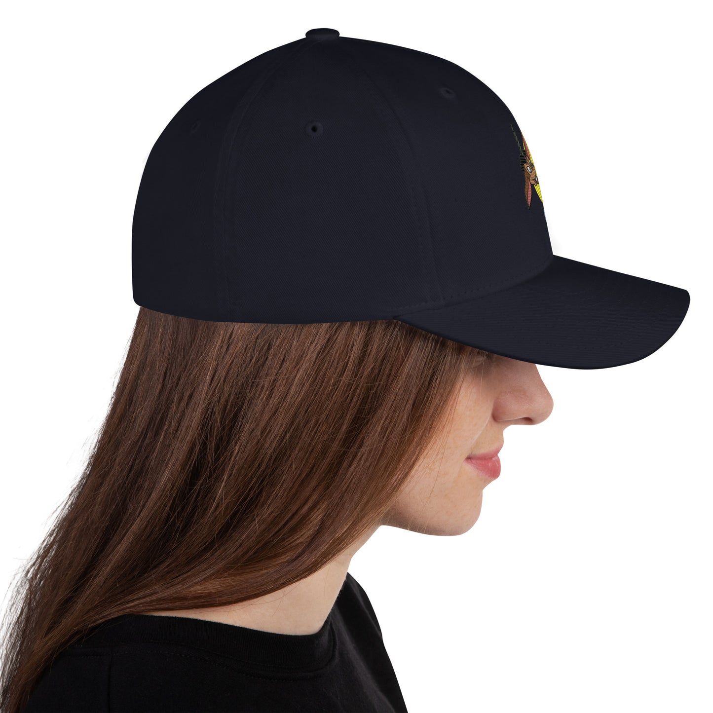 Donkey B-24 Bomber Cap - Nose Art Insignia Embroidery
