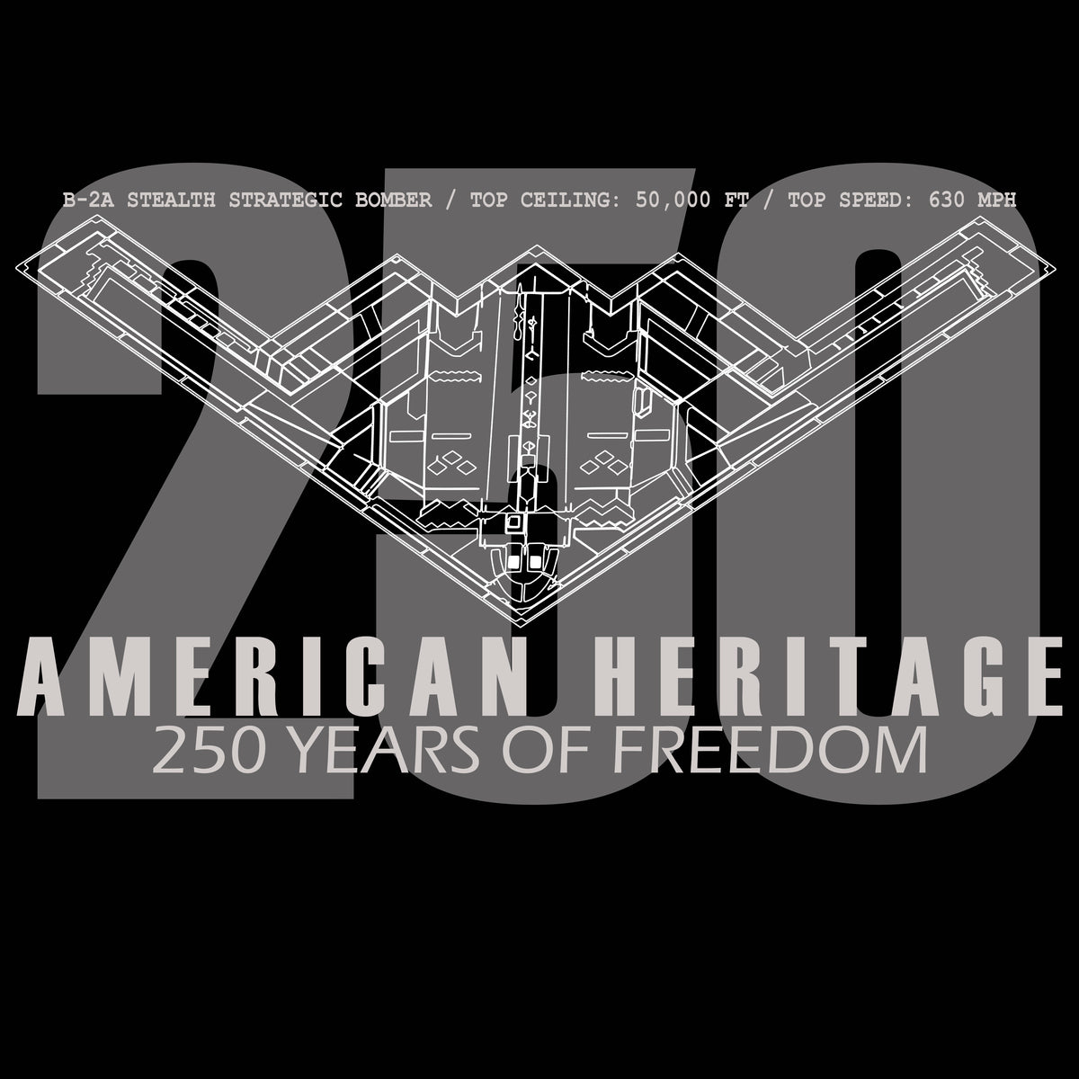 B-2A Semicentennial Heritage Tee