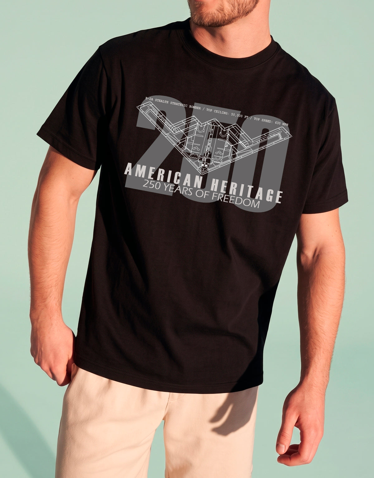 B-2A Semicentennial Heritage Tee