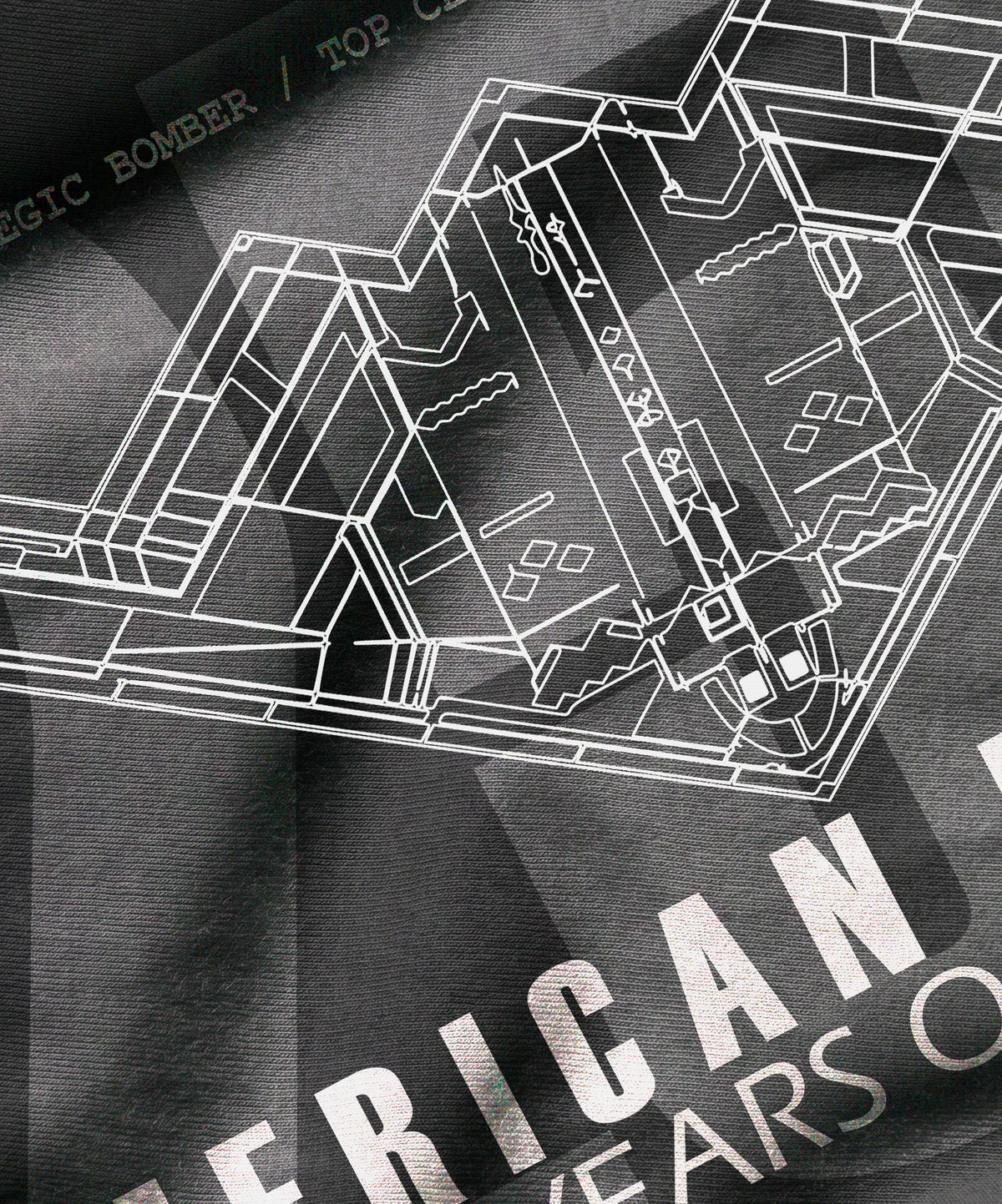 B-2A Semicentennial Heritage Tee