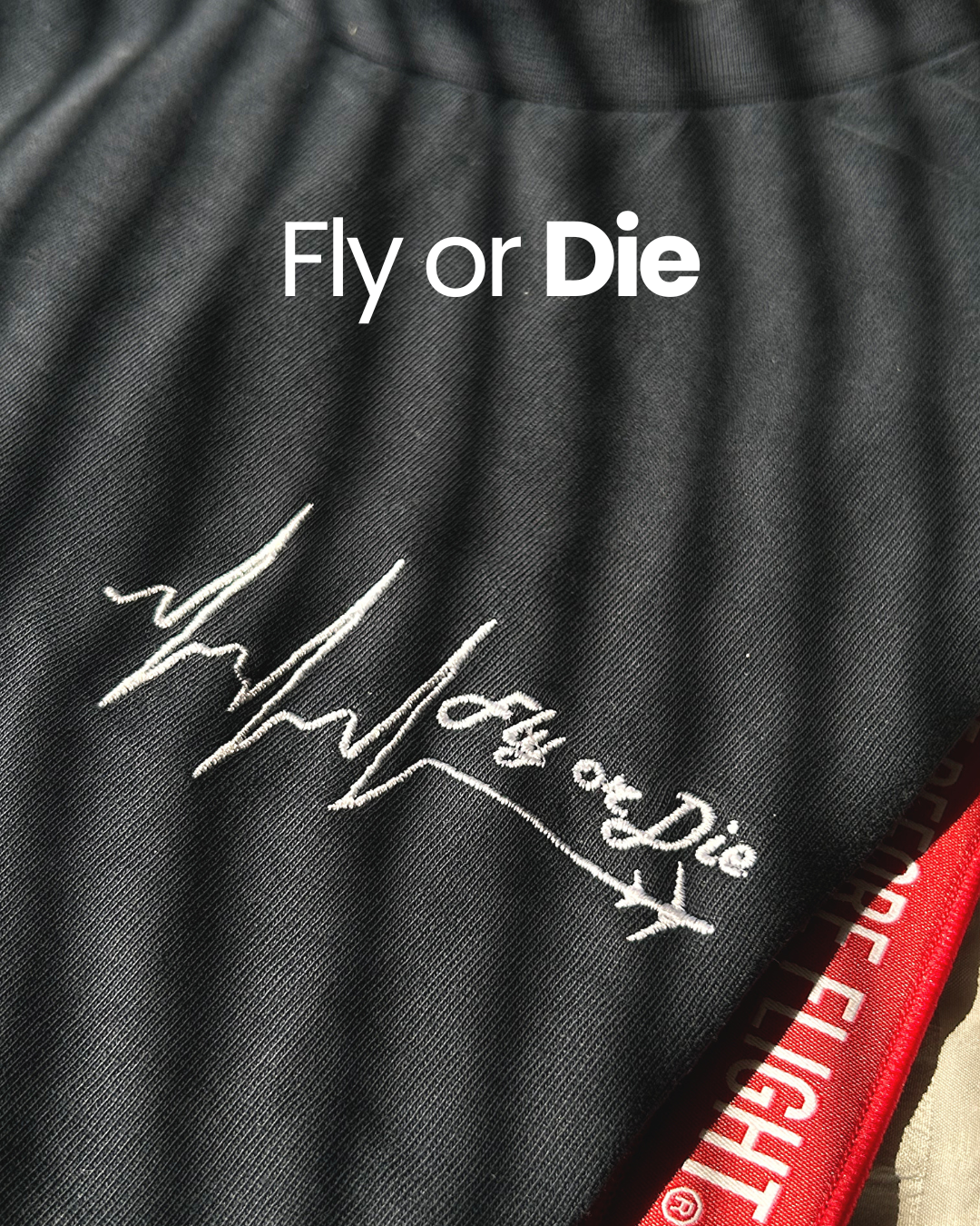 Fly or Die Boxy T-Shirt